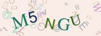 This is a captcha-picture. It is used to prevent mass-access by robots. (see: www.captcha.net)